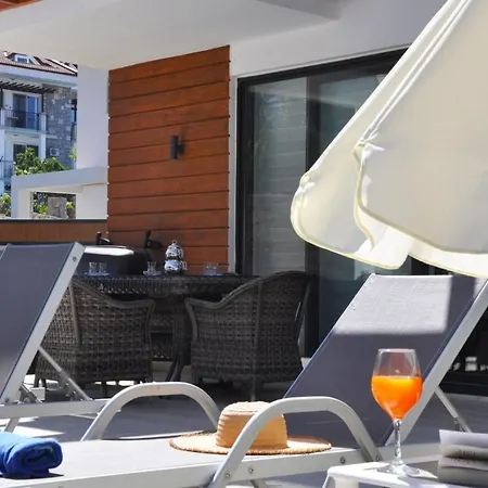 빌라 Hisar Prestige D